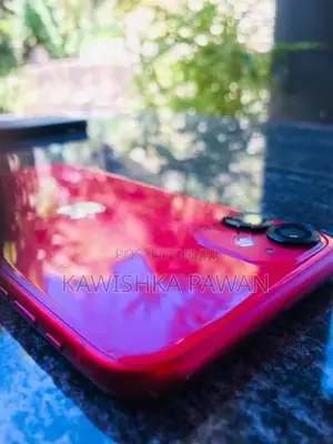 Apple iPhone 11 (Used)