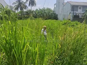 Land for Sale Mount Lavinia