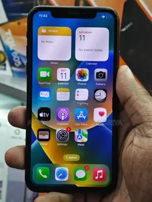 Apple iPhone X 256GB (Used)