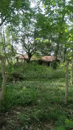 අක්කර 7.5ක වටිනා ඉඩමක් විකිණීමට Katupotha