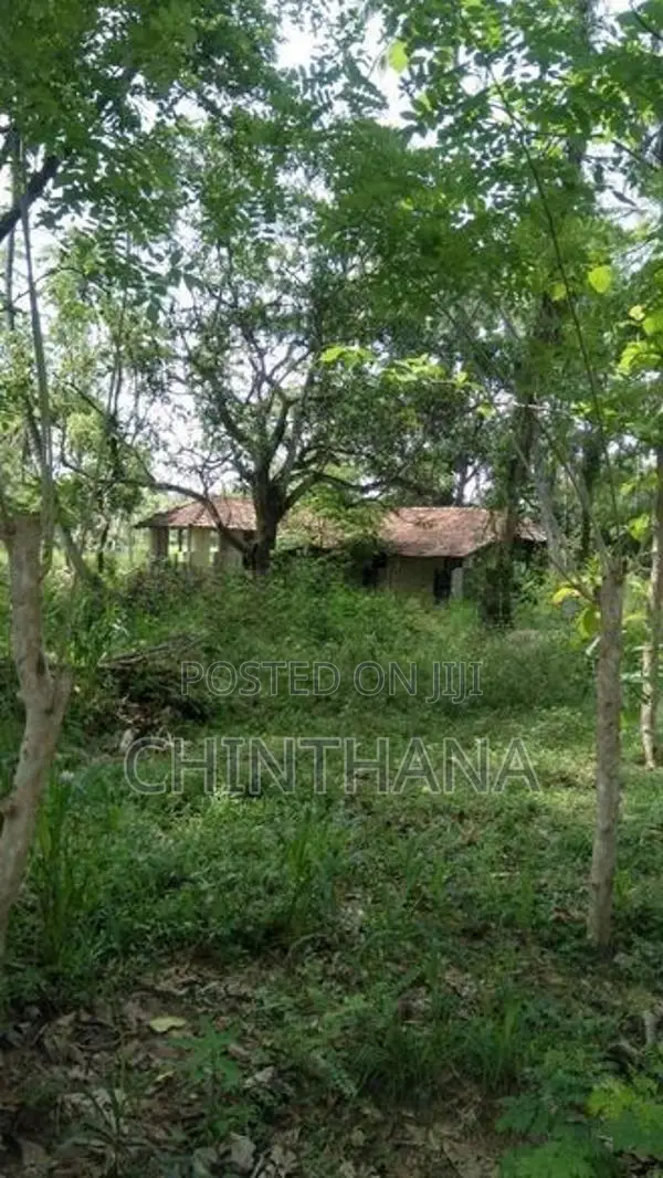 අක්කර 7.5ක වටිනා ඉඩමක් විකිණීමට Katupotha