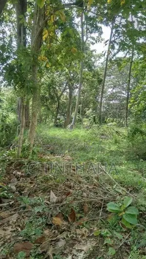 අක්කර 7.5ක වටිනා ඉඩමක් විකිණීමට Katupotha