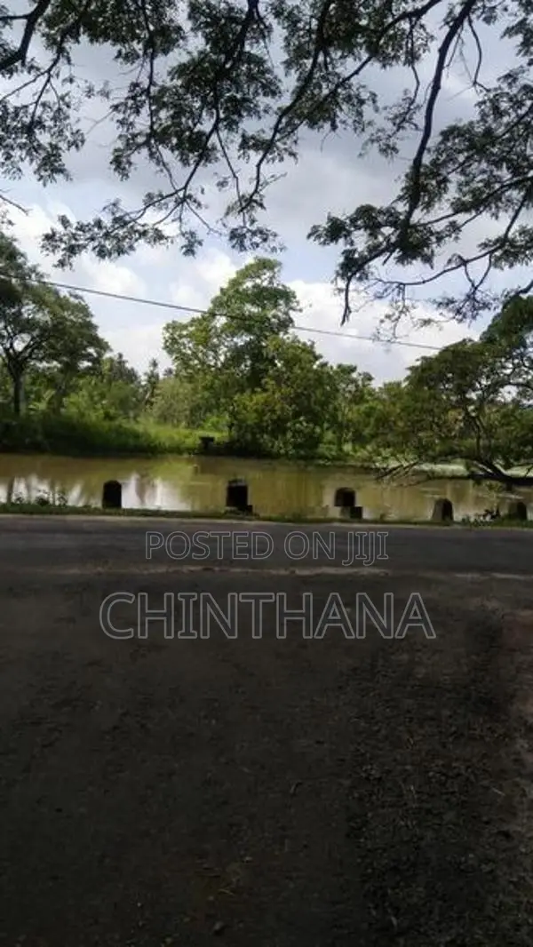 අක්කර 7.5ක වටිනා ඉඩමක් විකිණීමට Katupotha