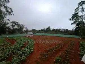 Super Land for Sale in Keppetipola