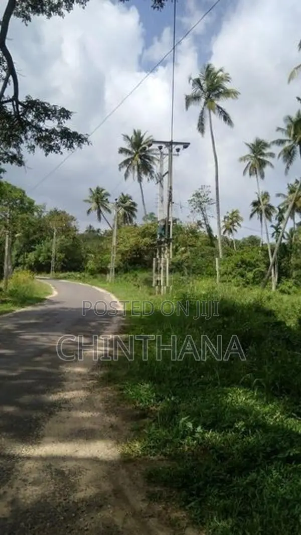 අක්කර 7.5ක වටිනා ඉඩමක් විකිණීමට Katupotha
