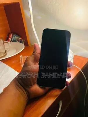 Apple iPhone 12 (Used)