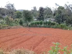 Super Land for Sale in Keppetipola