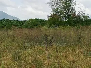 දඹුල්ල අවටින් පර්චස් 117ක් ව්කිණිමට ඇත