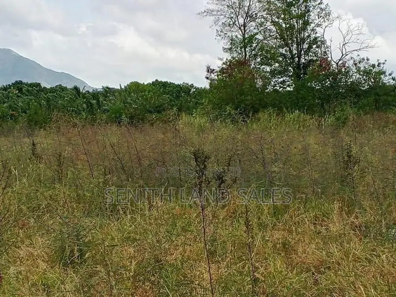 දඹුල්ල අවටින් පර්චස් 117ක් ව්කිණිමට ඇත