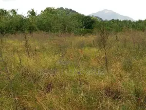 දඹුල්ල අවටින් පර්චස් 117ක් ව්කිණිමට ඇත