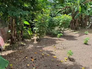 Square Land in The Heart of Maharagama Town