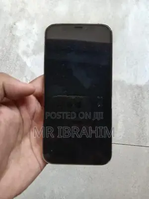 Apple iPhone 12 Pro (Used)