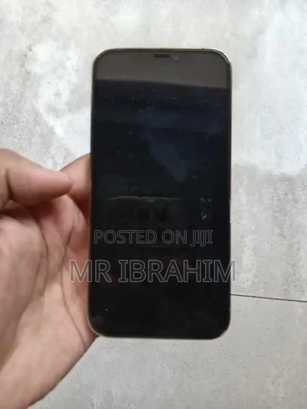Apple iPhone 12 Pro (Used)