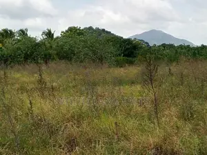 දඹුල්ල අවටින් පර්චස් 117ක් ව්කිණිමට ඇත