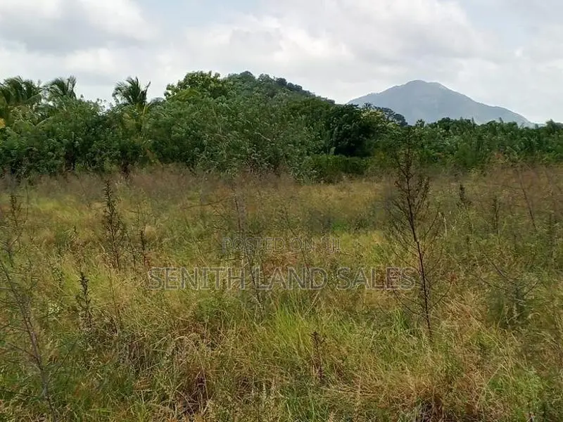 දඹුල්ල අවටින් පර්චස් 117ක් ව්කිණිමට ඇත
