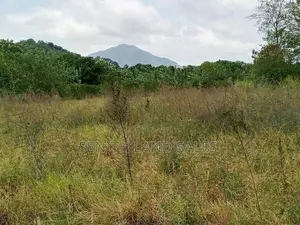දඹුල්ල අවටින් පර්චස් 117ක් ව්කිණිමට ඇත