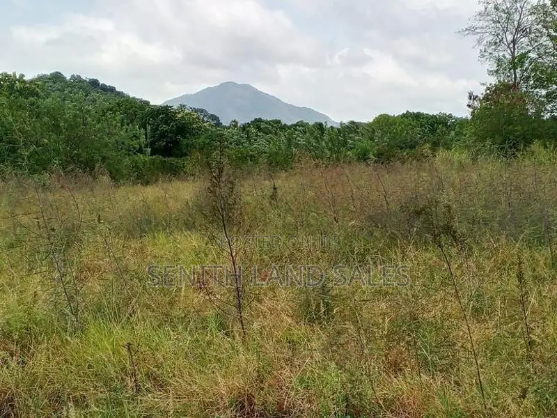දඹුල්ල අවටින් පර්චස් 117ක් ව්කිණිමට ඇත