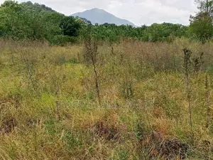 දඹුල්ල අවටින් පර්චස් 117ක් ව්කිණිමට ඇත
