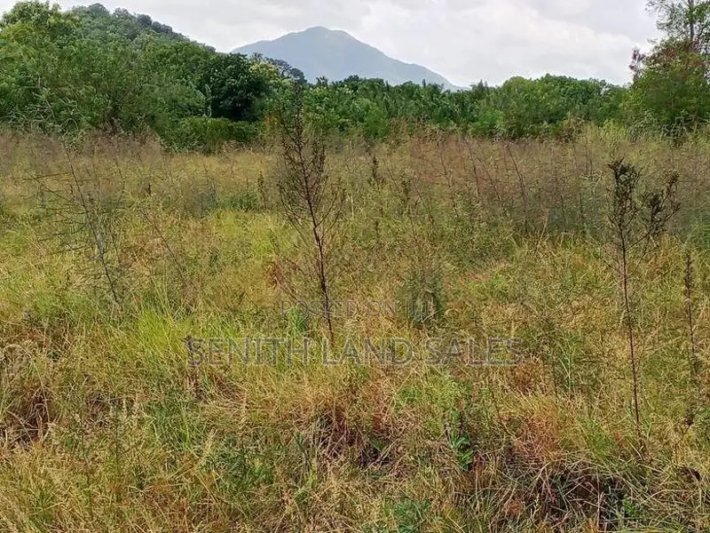 දඹුල්ල අවටින් පර්චස් 117ක් ව්කිණිමට ඇත