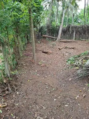 Land for Sale in Belummahara -Er 15103