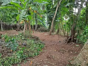 Land for Sale in Belummahara -Er 15103