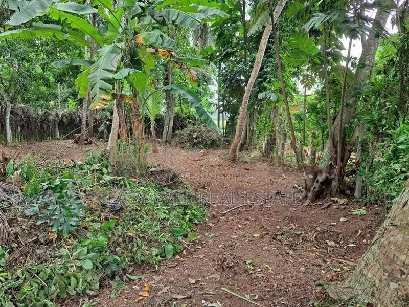 Land for Sale in Belummahara -Er 15103