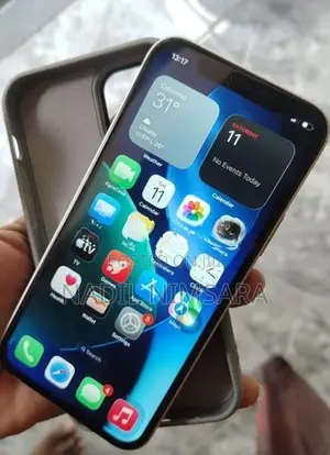 Apple iPhone 12 (Used)