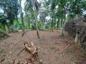 Land for Sale in Belummahara -Er 15103
