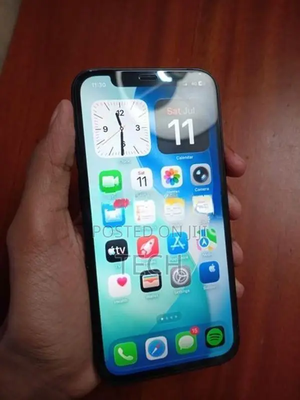 Apple iPhone 12 (Used)