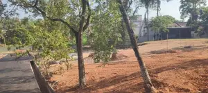 Pannipitiya Best Residential Land for Sale Close to Bus Road