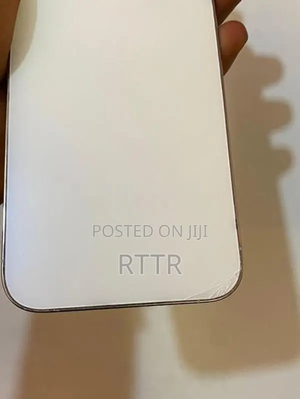 Apple iPhone 13 Pro Max (Used)