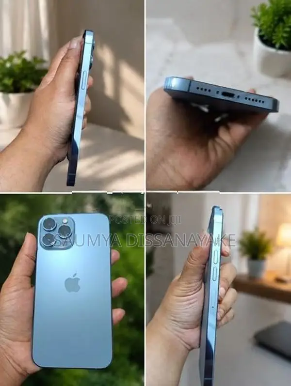 Apple iPhone 13 Pro Max (Used)
