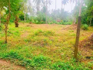 වේයන්ගොඩ කටුනායක ප්‍රධාන පරෙන් වටිනා ඉඩමක් - CH 15048