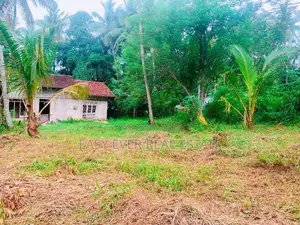 වේයන්ගොඩ කටුනායක ප්‍රධාන පරෙන් වටිනා ඉඩමක් - CH 15048