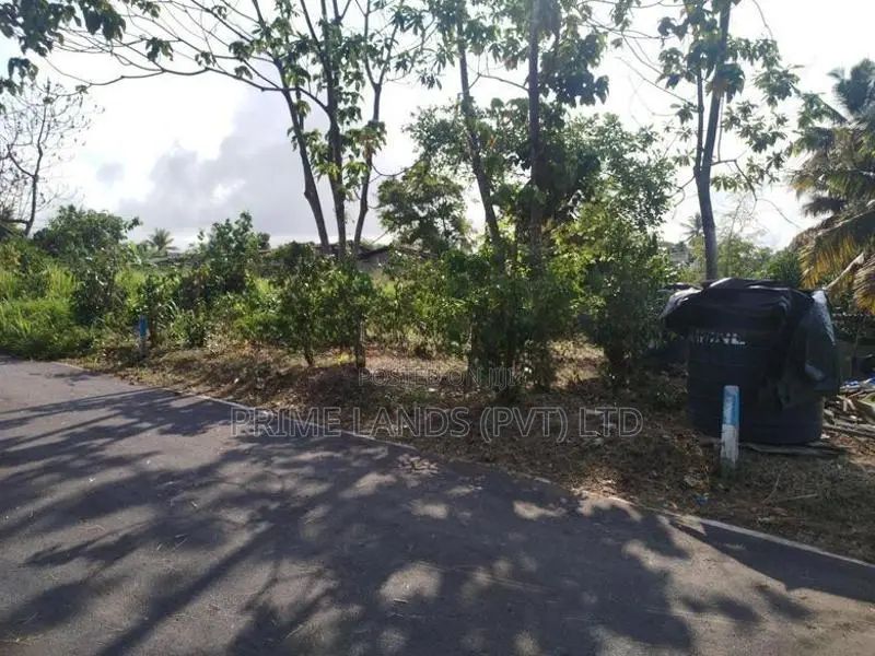 පිලියන්දල කොටගෙදර හන්දියට ආසන්නව බිම් කොටසක් විකිණීමට