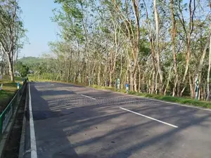 තලගල බෙරුකැටිය බිම් කොටස් විකිණීමට