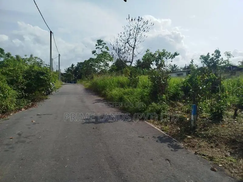පිලියන්දල කොටගෙදර හන්දියට ආසන්නව බිම් කොටසක් විකිණීමට