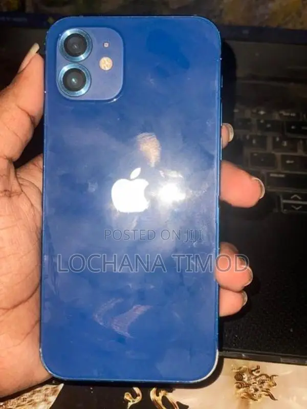 Apple iPhone 12 (Used)