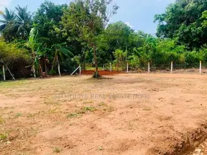 අනුරාධපුර සාලියපුර පාරට ලගින්ම ඉඩමක්