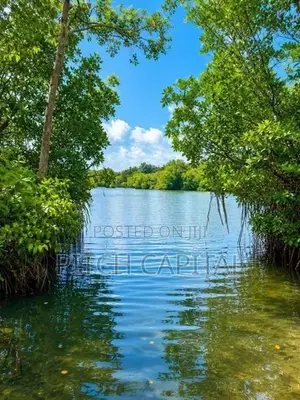 Koggala Lake Front Land Plots