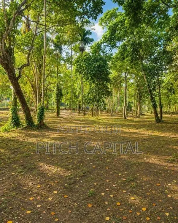 Koggala Lake Front Land Plots