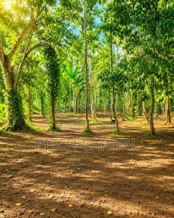 Koggala Lake Front Land Plots