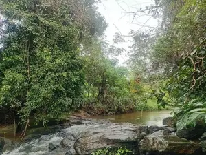 Handapangoda, Mawak Oya Facing Best Waterfront Land Plots