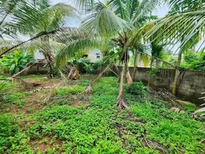 Land for Sale in Bopitiya - St 14657