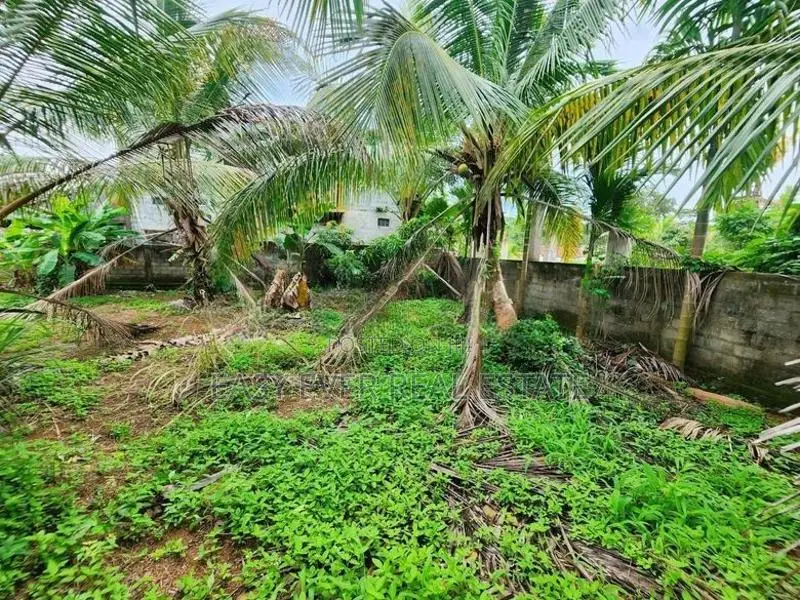 Land for Sale in Bopitiya - St 14657