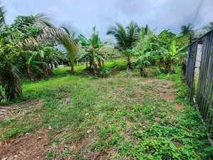 Land for Sale in Bopitiya - St 14657