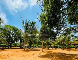 Luxury Coastal land in Midigama