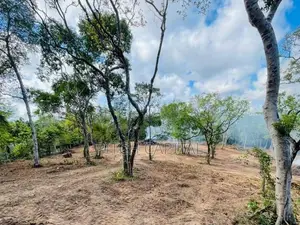 Dikwella Beach Side Land For Sale