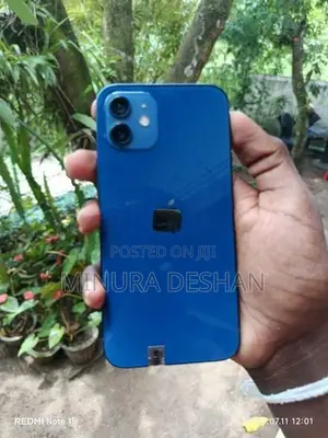 Apple iPhone 12 (Used)
