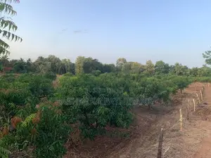 Land for Sale - Anuradhapura